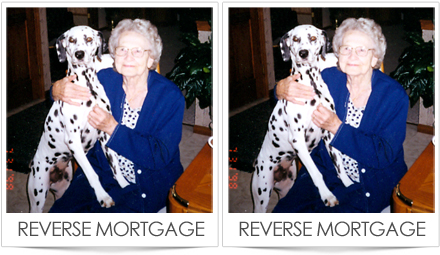 Reverse Mortgage